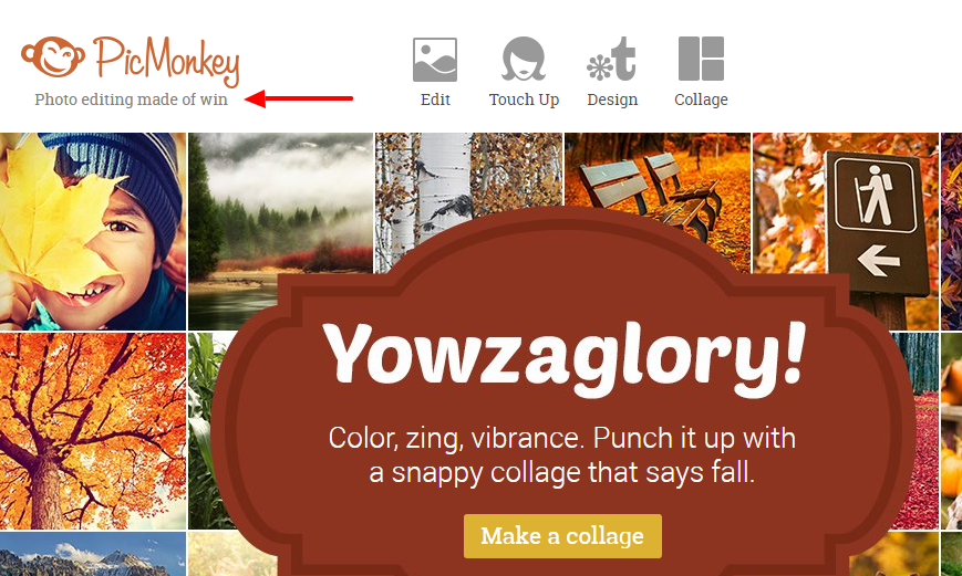 Colorful user interface with color, zing and vibrance from PicMonkey.