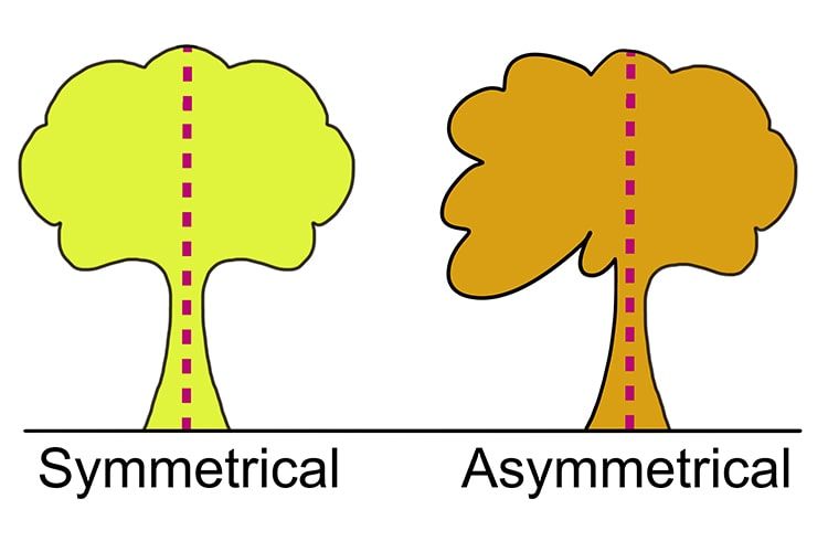 Symmetry vs. Asymmetry in Design How to Use Visual Balance