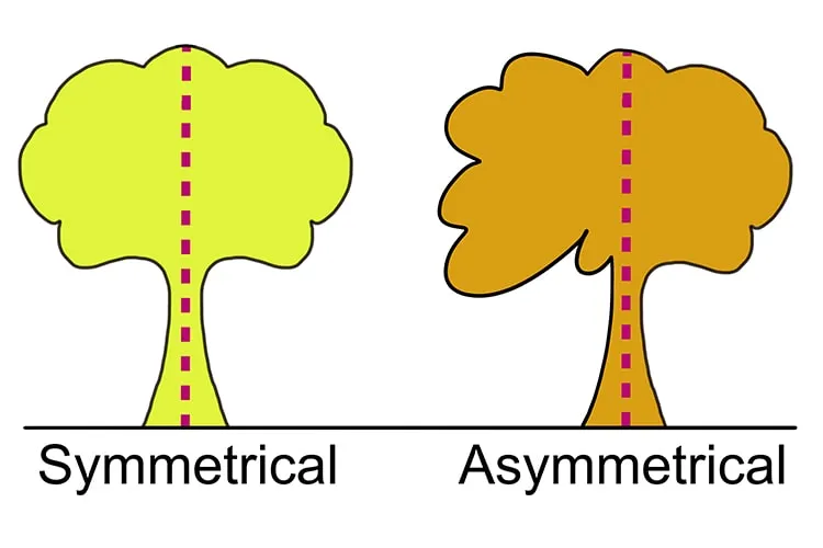symmetrical vs asymmetrical min