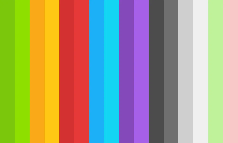 duolingo color scheme