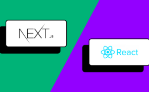 next js vs react